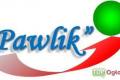 FIRMA UBEZPIECZENIOWA  PAWLIK 