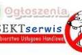 Dezynfekcja dezynsekcja deratyzacja Kalisz, Krotoszyn, K�pno, Ostrow Wlkp., Ostrzeszow, Pleszew