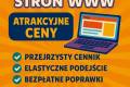 Strona internetowa od 500 PLN z mocn� promocj� na START/ FAKTURA
